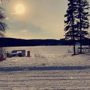 Meet your Posher, Alexia